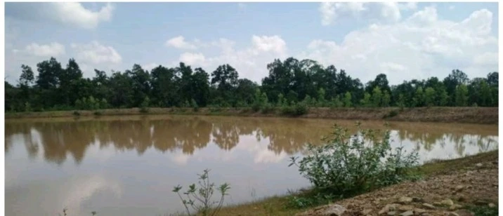 बस्तर के गोहनामुण्डा में अमृत सरोवर से मिटा जल संकट