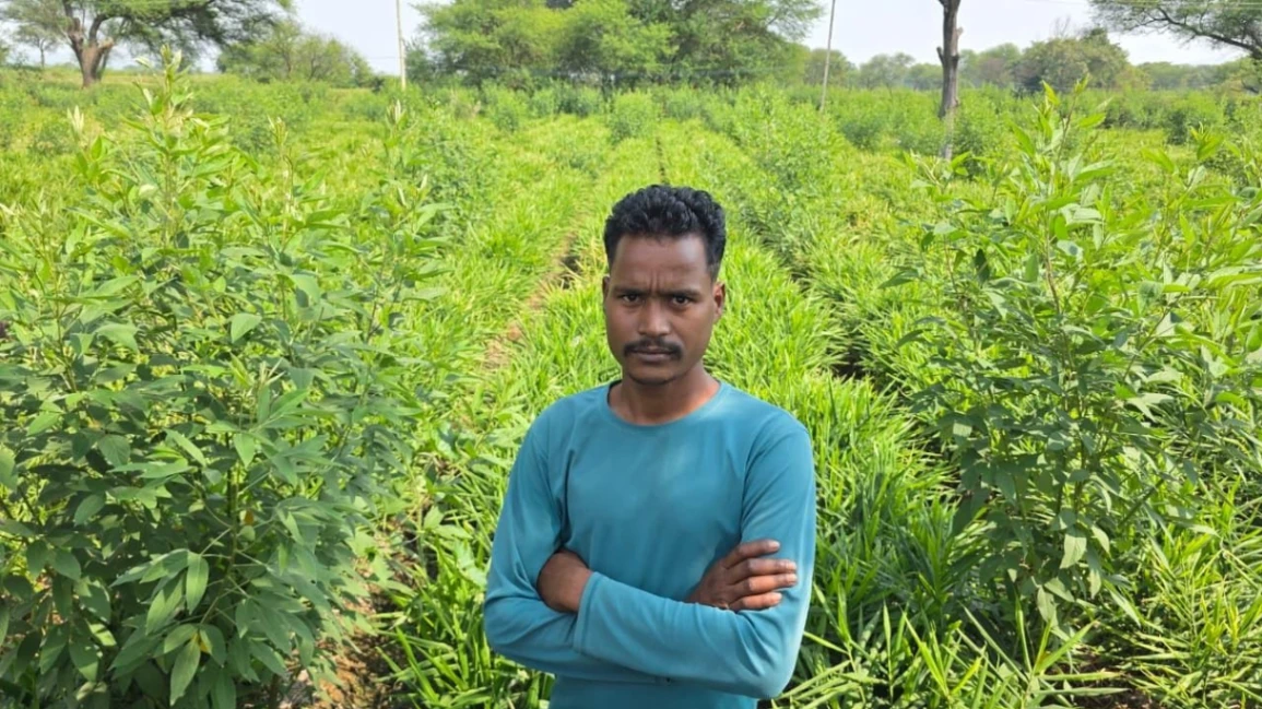धान छोड़ डेढ़ एकड़ में उगाई अदरक, मेड़ों पर अरहर... किसान मुकंदर ने पेश की फसल-विविधीकरण की मिसाल