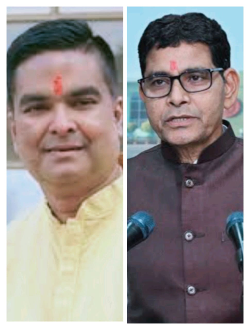 भिलाई के अंबेडकर और शंकराचार्य गार्डन से 46 पेड़ काटे गए, कार्रवाई अब भी प्रक्रियाधीन