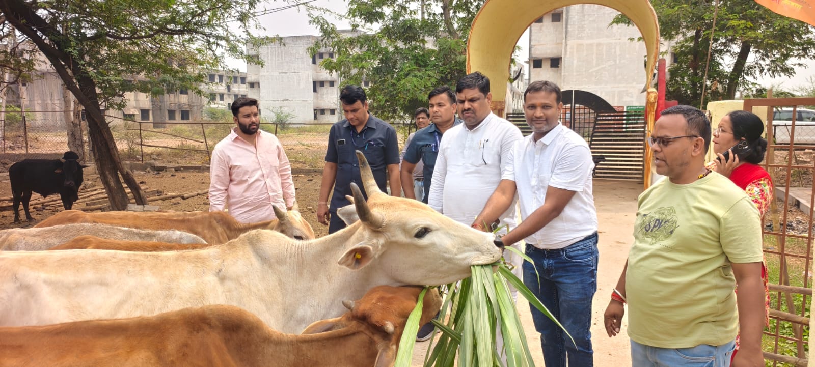 नवरात्रि के अवसर पर विधायक गजेन्द्र यादव ने गौशाला में की सेवा, प्रेरित किया गौ सेवा के लिए