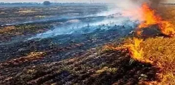 धान कटाई के बाद पराली जलाने पर प्रशासन सख्त, किसानों से वैकल्पिक उपाय अपनाने की अपील