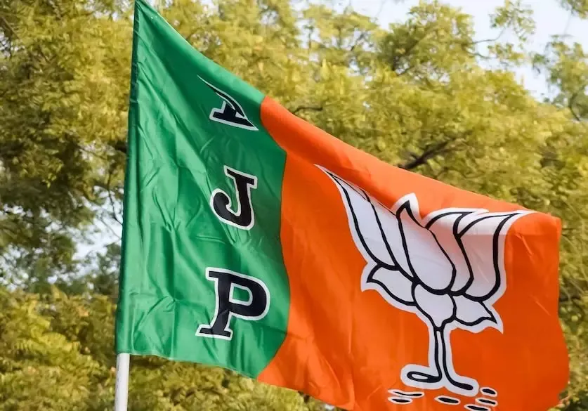 राहुल गांधी में बोलने-सोचने की समझ नहीं, उनकी मंदबुद्धि पर क्या कहूं: भाजपा