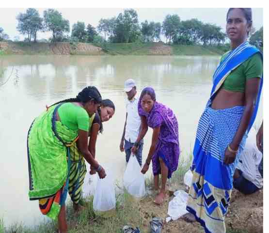 झींगा और मछली पालन से बदली किस्मत