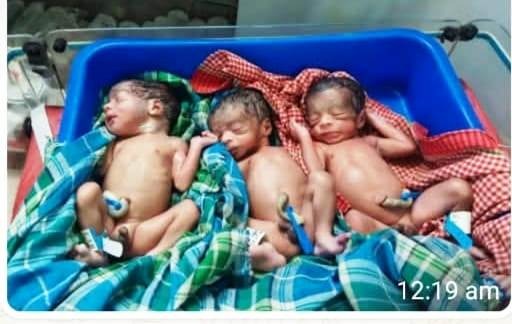 राजपुर में पहाड़ी कोरवा महिला ने एक साथ तीन बच्चों को दिया जन्म, जच्चा-बच्चा सुरक्षित