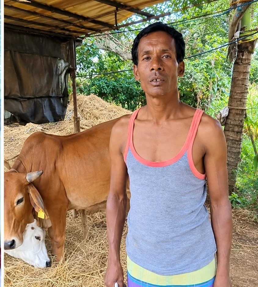 नस्ल सुधार से बदली किस्मत: देशी गाय से साहीवाल और गिर नस्ल मिली, अब रोज 10 लीटर दूध बेच रहे नेहर साय