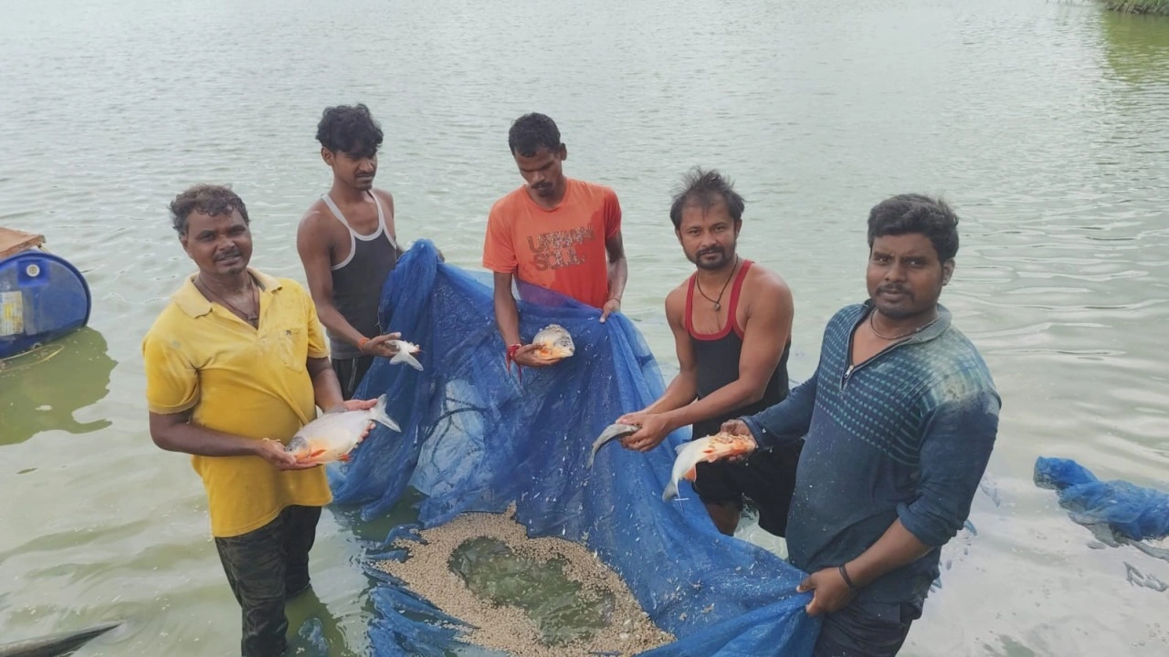 14 लाख की हैचरी से 15 टन मछली उत्पादन, बिरकोनी के किसान ने बदली आय की राह