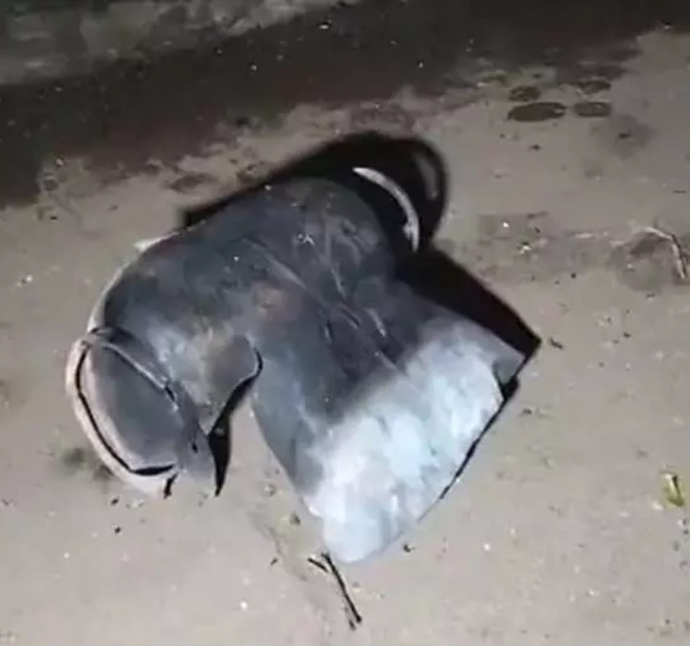 भिलाई: बैंकुंठ धाम चौक में महादेव कैटर्स की दुकान में सिलेंडर ब्लास्ट, 10 लाख का नुकसान