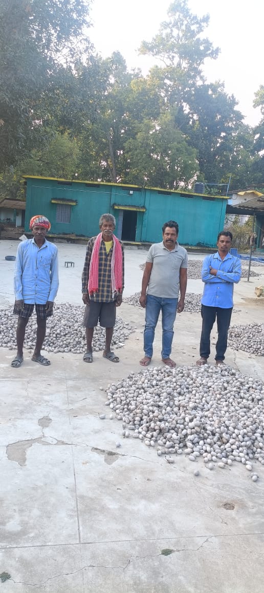 टांगरगांव के आदिवासी किसानों को रेशम पालन से मिली समृद्धि, सालाना आय में भारी वृद्धि