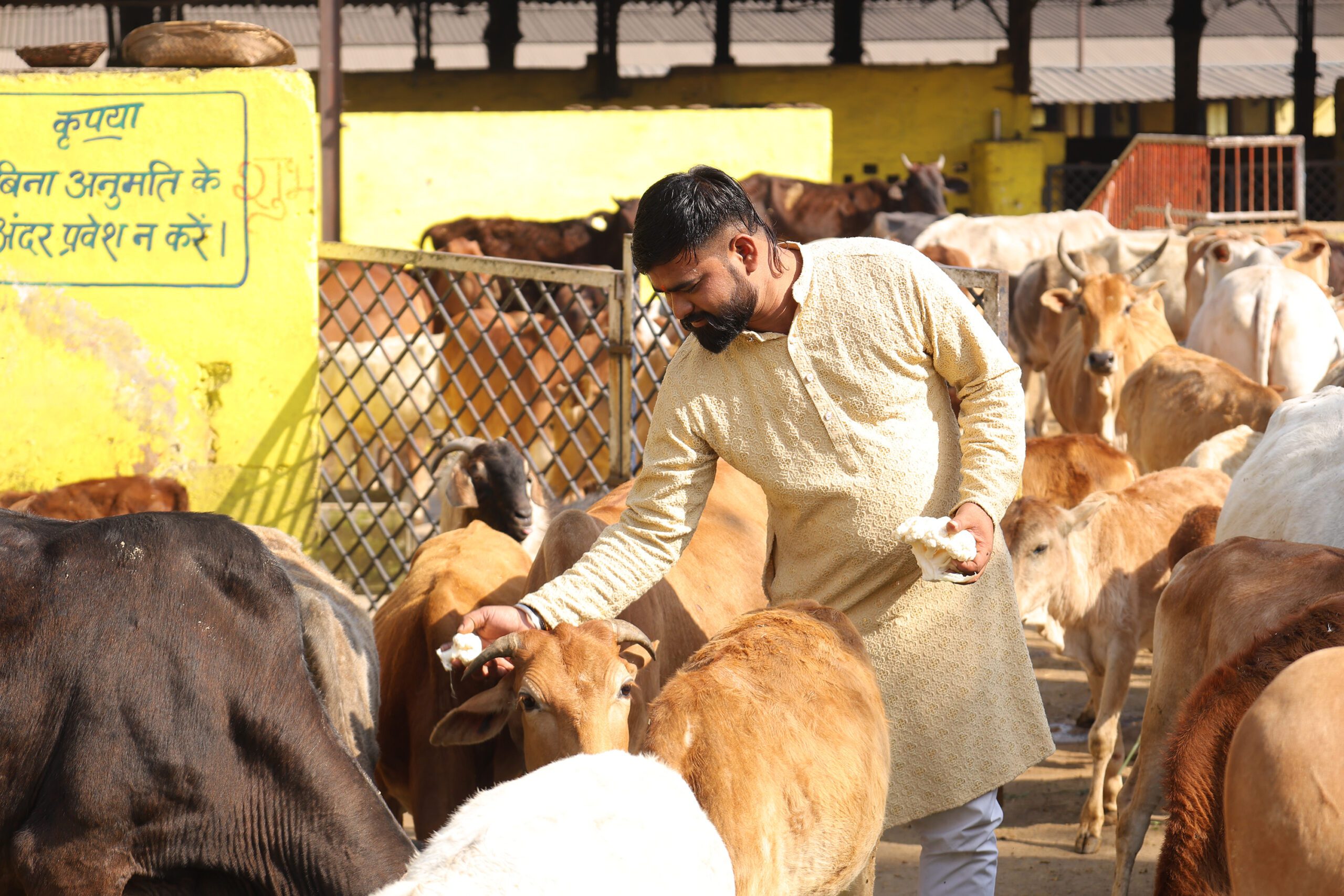 बिरगांव नगर निगम के युवा गौ सेवक पार्षद डिकेंद्र सिन्हा ने जन्मदिन पर गौ सेवा का दिया अनोखा संदेश