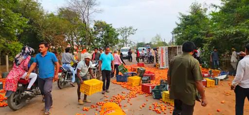 बिलासपुर में टमाटर से भरी पिकअप पलटी, बिखरे टमाटर उठाने दौड़े लोग