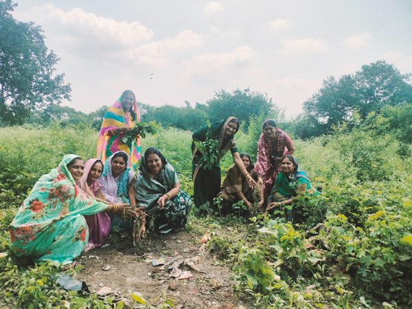 पर्यावरण संरक्षण के लिए आगे आया राजपूत क्षत्रिय समाज दुर्ग उत्तर महिला मंडल, 'एक पेड़ मां के नाम' अभियान