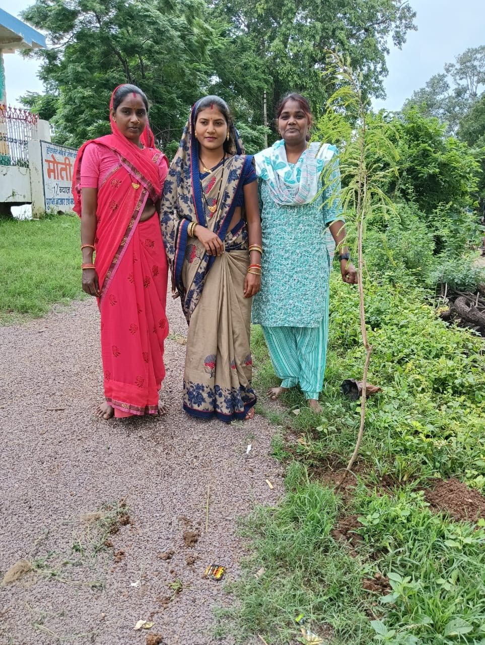 पूर्व राष्ट्रपति कलाम की पुण्यतिथि पर भनसुली में हुआ वृक्षारोपण, पर्यावरण संरक्षण का दिया संदेश