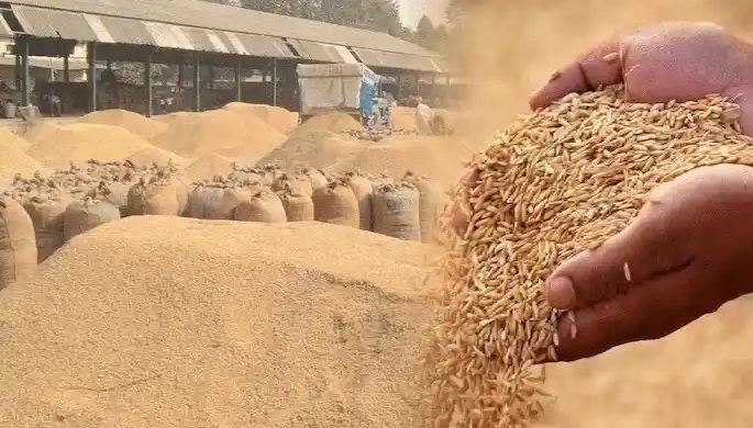 सागुनढाप धान खरीदी केंद्र में 50 लाख के धान का घोटाला, किसानों ने दी चक्का जाम की चेतावनी