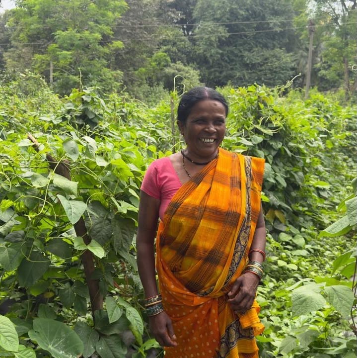 बस्तर की रैमती मौर्य ने पेश की मिसाल, महतारी वंदन योजना के पैसों से संवार रहीं नातियों का भविष्य
