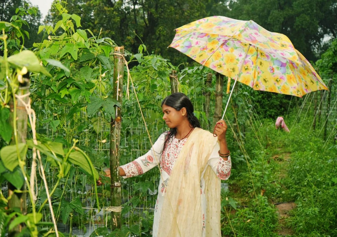 राष्ट्रीय ग्रामीण आजीविका मिशन 'बिहान' से जुड़कर अंजना भगत ने हासिल किया मुकाम, ड्रिप विधि से कर रहीं सब्जियों की खेती