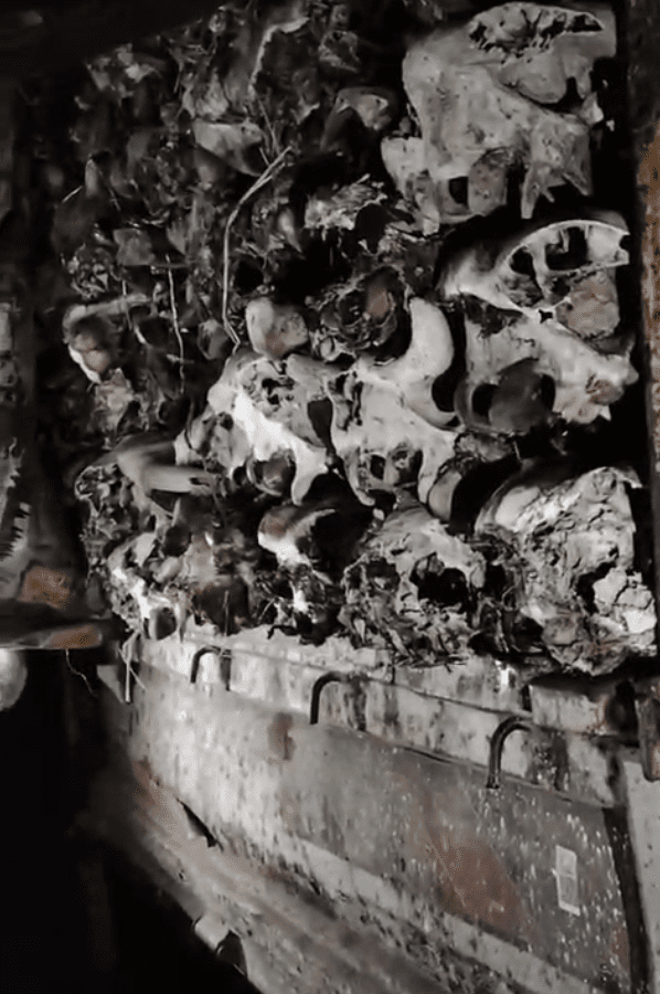 Gauvansh Taskari Raipur