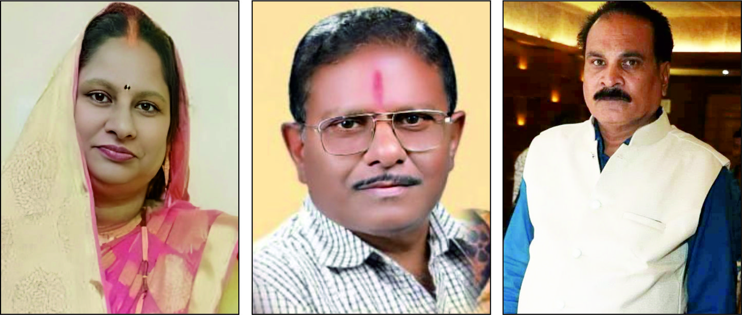 Samagra Brahmin Parishad Chhattisgarh Election, Pramila Tiwari President