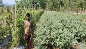 धान का मोह छोड़ सब्जियों की खेती से मालामाल हुए किसान वासुदेव, आधुनिक तकनीक ने बदली तकदीर