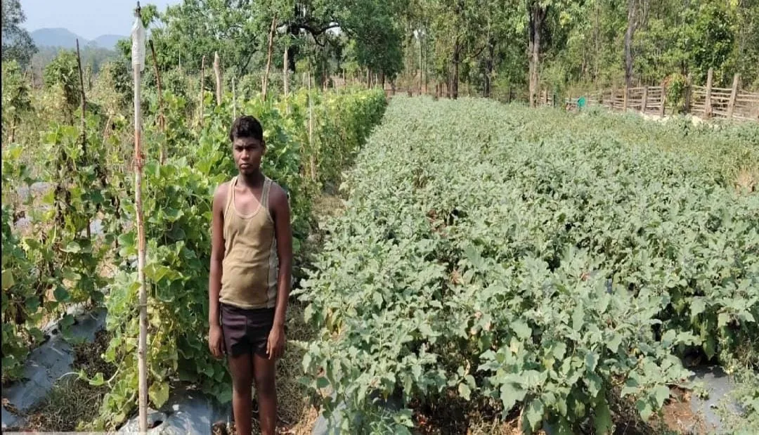 धान का मोह छोड़ सब्जियों की खेती से मालामाल हुए किसान वासुदेव, आधुनिक तकनीक ने बदली तकदीर
