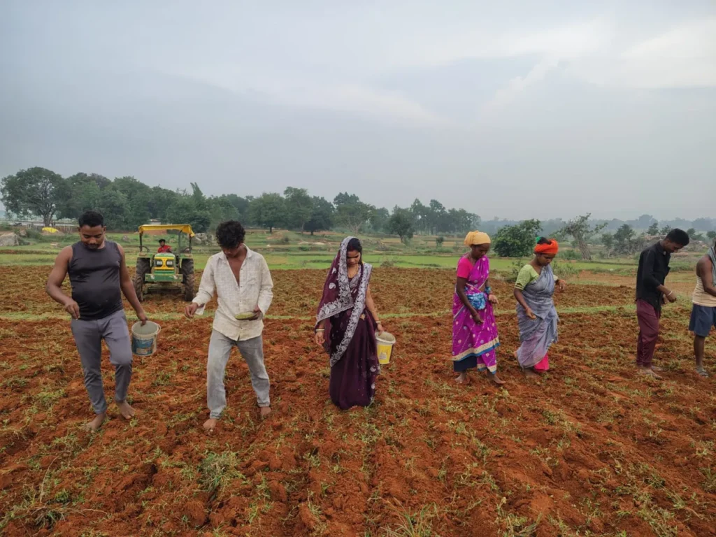 सरगुजा जिले में आत्मा योजना के तहत किसानों को मूंग के उन्नत बीज और तकनीकी मार्गदर्शन दिया जा रहा है। वैज्ञानिक पद्धति से बुवाई कर किसान अब बेहतर उत्पादन और अधिक आय की ओर अग्रसर हैं।